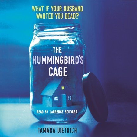 The Hummingbird’s Cage