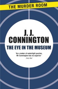 The Eye in the Museum