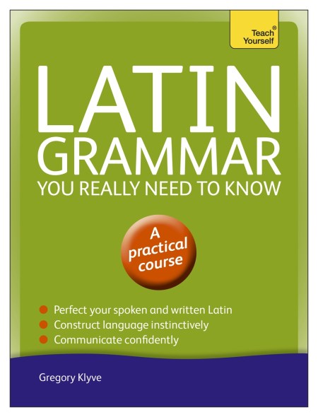 Latin Grammar You Really Need to Know: Teach Yourself
