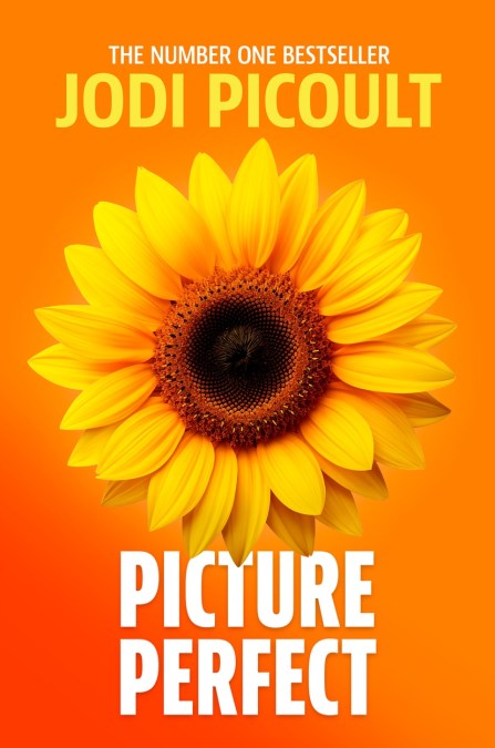 Picture Perfect