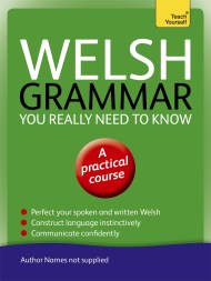 Welsh Grammar You Really Need to Know: Teach Yourself