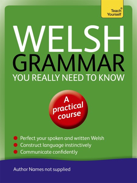 Welsh Grammar You Really Need to Know: Teach Yourself