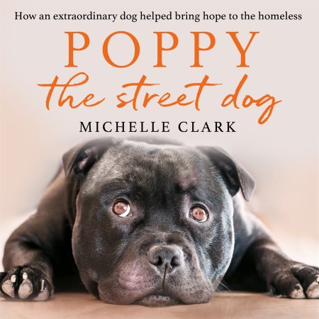Poppy The Street Dog