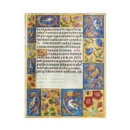 Spinola Hours (Ancient Illumination) Ultra Unlined Softcover Flexi Journal