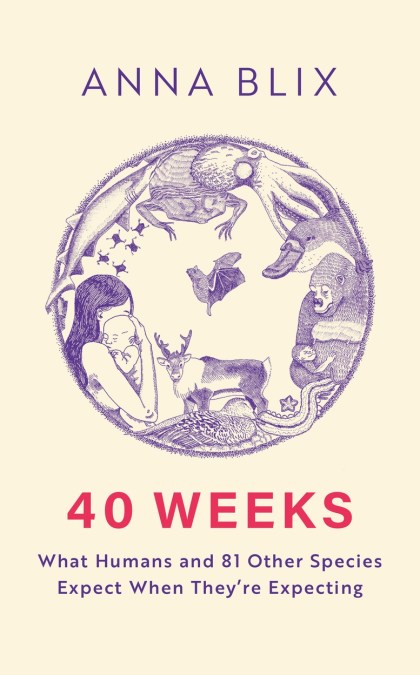 40 Weeks