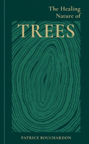 The Healing Nature of Trees