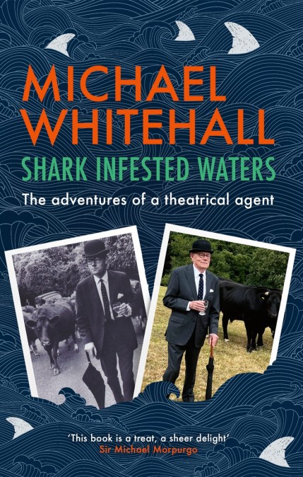 Shark-Infested Waters
