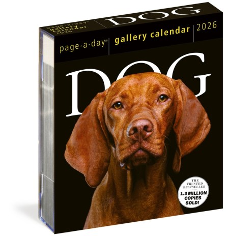 Dog Page-A-Day® Gallery Calendar 2026