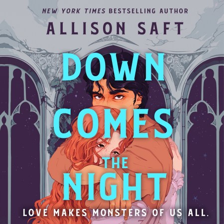 Down Comes the Night