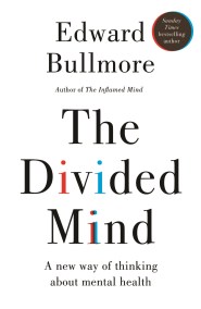 The Divided Mind