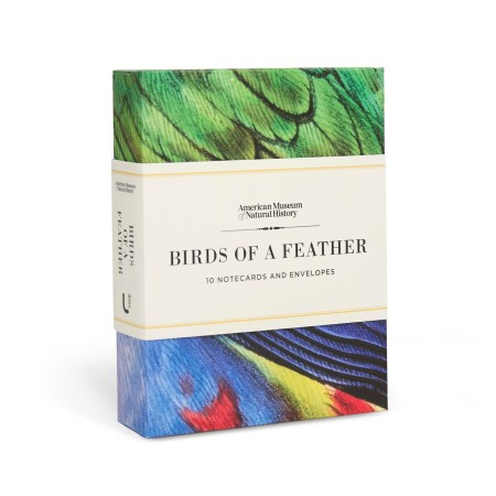 Birds of a Feather