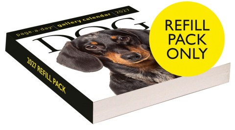 Dog Page-A-Day® Gallery Calendar Refill Pack 2027