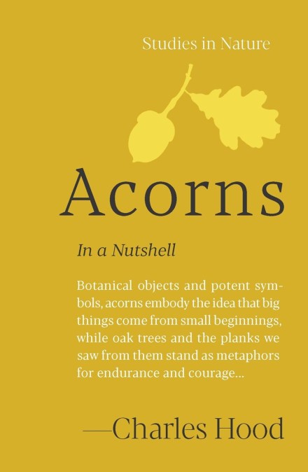 Acorns