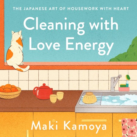 Cleaning with Love Energy