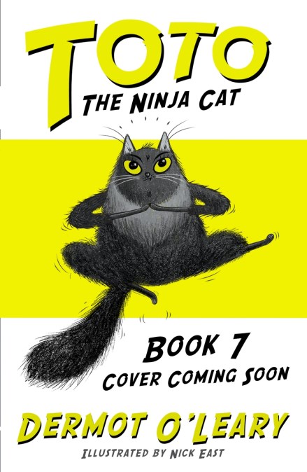 Toto the Ninja Cat and the Football Fiasco