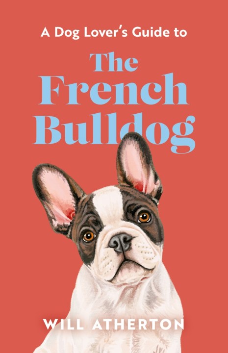 The French Bulldog