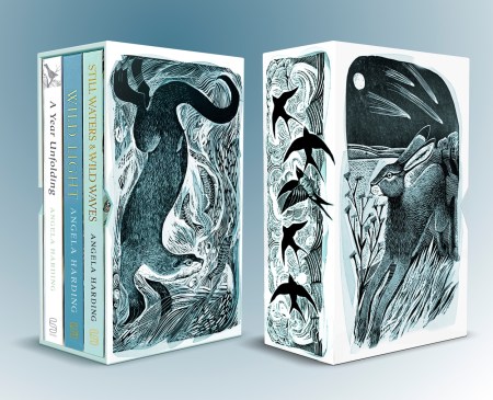 Angela Harding Box Set